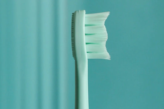 Which Bristles Are The Best For Me?